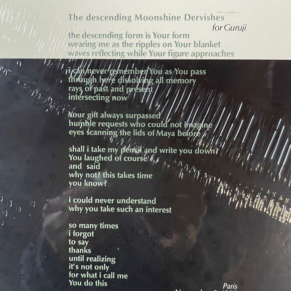 Terry Riley – Descending Moonshine Dervishes – Vinyl, LP, Reissue, NEW Synth - Picture 4 of 6